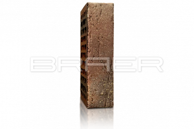 BRAER PRO 55.08.1 Braer